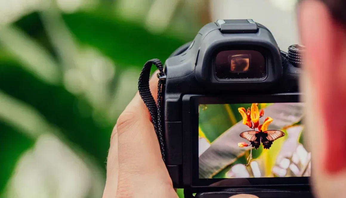 Best Camera Kits for Content Creators