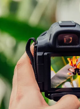 Best Camera Kits for Content Creators
