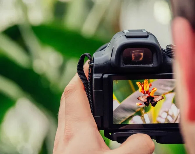 Best Camera Kits for Content Creators